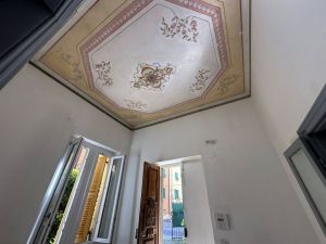 Oasi in Centro Chiavari |  -  - 