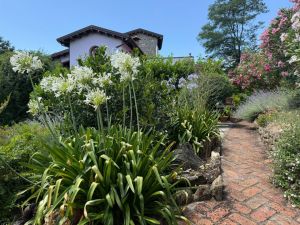 Villa delle Fate |  -  - 