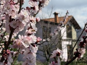 Villa delle Fate |  -  - 