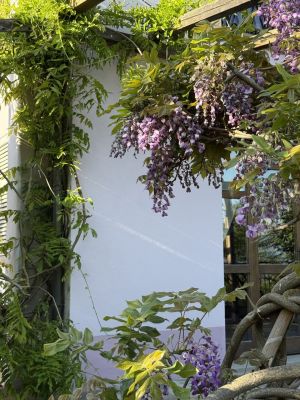 Villa delle Fate |  -  - 