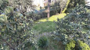 Appartamento il Mare di Marina di Massa |  -  - 