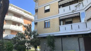 Appartamento il Mare di Marina di Massa |  -  - 