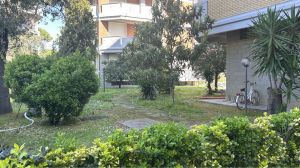Appartamento il Mare di Marina di Massa |  -  - 