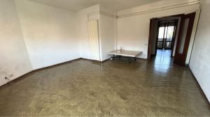 Appartamento il Mare di Marina di Massa |  -  - 