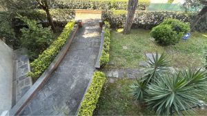 Appartamento il Mare di Marina di Massa |  -  - 