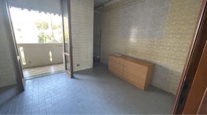 Appartamento il Mare di Marina di Massa |  -  - 
