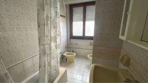 Appartamento il Mare di Marina di Massa |  -  - 