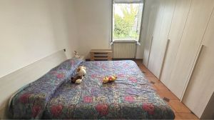 CASA VISTA SUGLI ULIVI |  -  - 