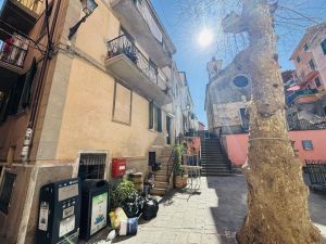 Il Cuore di Corniglia |  -  - 