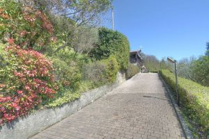 Cottage Luna |  -  - 