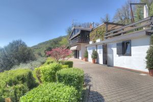 Cottage Luna |  -  - 