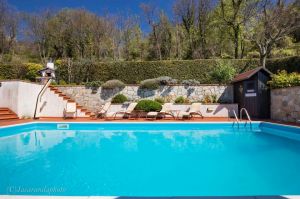 Cottage Luna |  -  - 