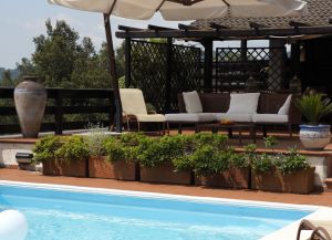 Cottage Luna |  -  - 