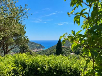 Il Villino dei Sogni |  -  - 