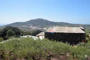 La Tenuta del Silenzio |  -  - 