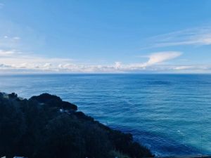 Un Tuffo nel Blu |  -  - 