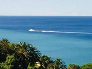 Un Tuffo nel Blu |  -  - 
