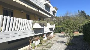 La Perla di Sarzana |  -  - 