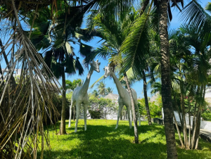 Villa Taste Itay Watamu |  -  - 