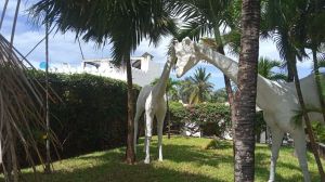 Villa Taste Itay Watamu |  -  - 