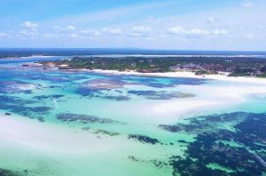 Villa Taste Itay Watamu |  -  - 