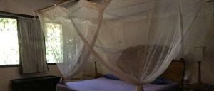 Villa un Sogno a Diani |  -  - 