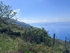 IL Rustico dove Vivono gli Angeli |  -  - 