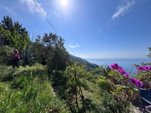 IL Rustico dove Vivono gli Angeli |  -  - 