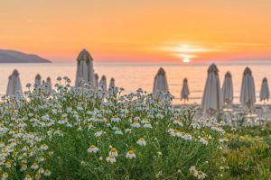 Villino La Biodola |  -  - 