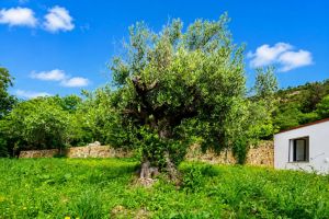 Villa Maria |  -  - 