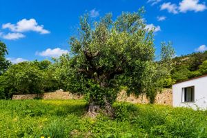 Villa Maria |  -  - 