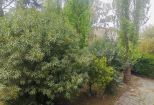 Appartamento Delizia |  -  - 