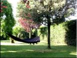 Villa La Regina della Riviera |  -  - 