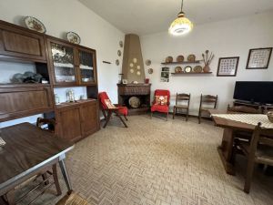 La Grande Fattoria di Gragnola |  -  - 