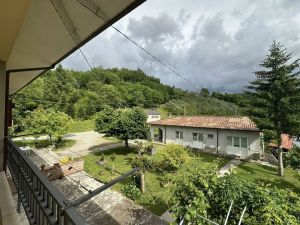 La Grande Fattoria di Gragnola |  -  - 