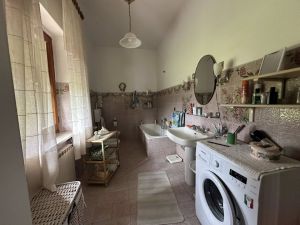 La Grande Fattoria di Gragnola |  -  - 