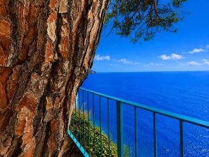 La Casa sulla Scogliera |  -  - 