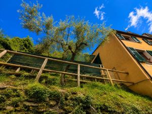 La Casa del Vignaiolo |  -  - 