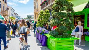 Appartamento Alessia |  -  - 