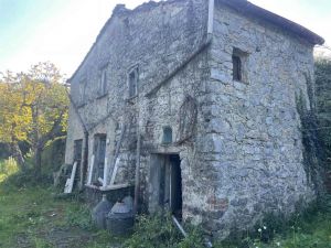 Poderetto San Lorenzo |  -  - 