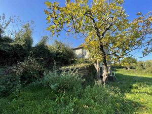 Poderetto San Lorenzo |  -  - 