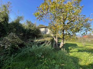 Poderetto San Lorenzo |  -  - 