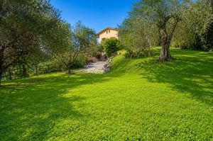 Villa Versilia Cielo e Mare |  -  - 