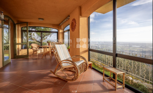 Villa Versilia Cielo e Mare |  -  - 