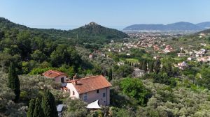 Tenuta Gardenia |  -  - 