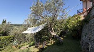 Tenuta Gardenia |  -  - 