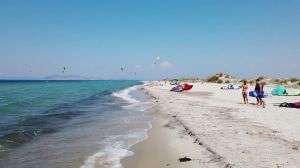 Cottages Mambrui Beach |  -  - 