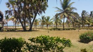 Cottages Mambrui Beach |  -  - 