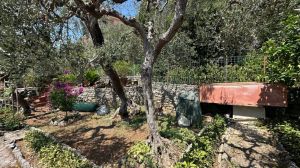 Villa Il Sole su Tellaro |  -  - 