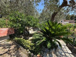 Villa Il Sole su Tellaro |  -  - 